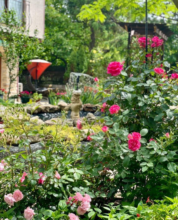 Vamabel House Bed & Breakfast Vama Veche Exterior photo