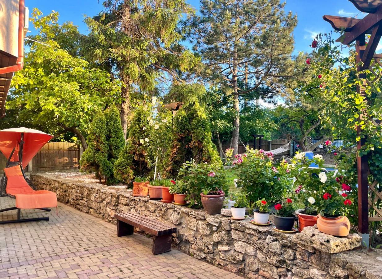 Vamabel House Bed & Breakfast Vama Veche Exterior photo